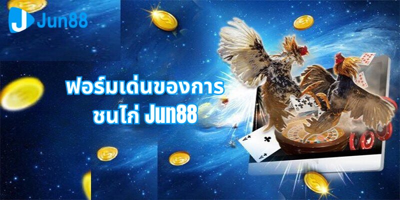 ฟอร์มเด่นของการชนไก่ Jun88